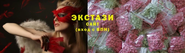 СК Алексин
