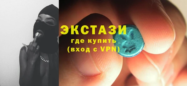 СК Алексин