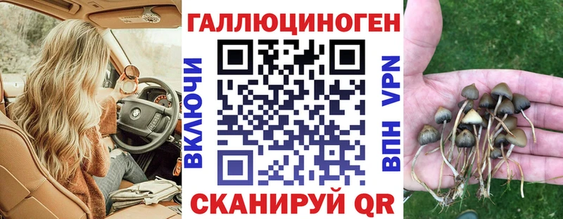 Псилоцибиновые грибы Psilocybe  Арск 